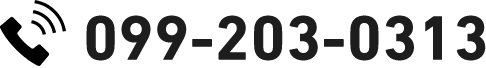 099-203-0313