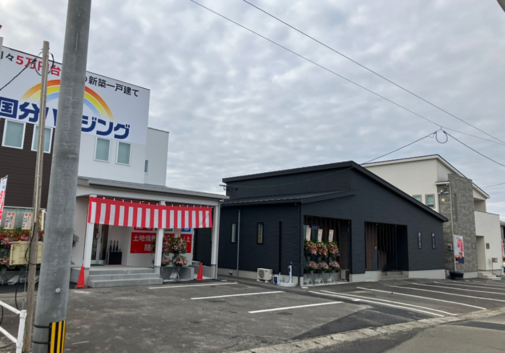 （鹿児島県産）野原いっぱいのコスモス ① ハウス タンカン 2023年10月22日＊一面のコスモス畑＊鹿児島市都市農業