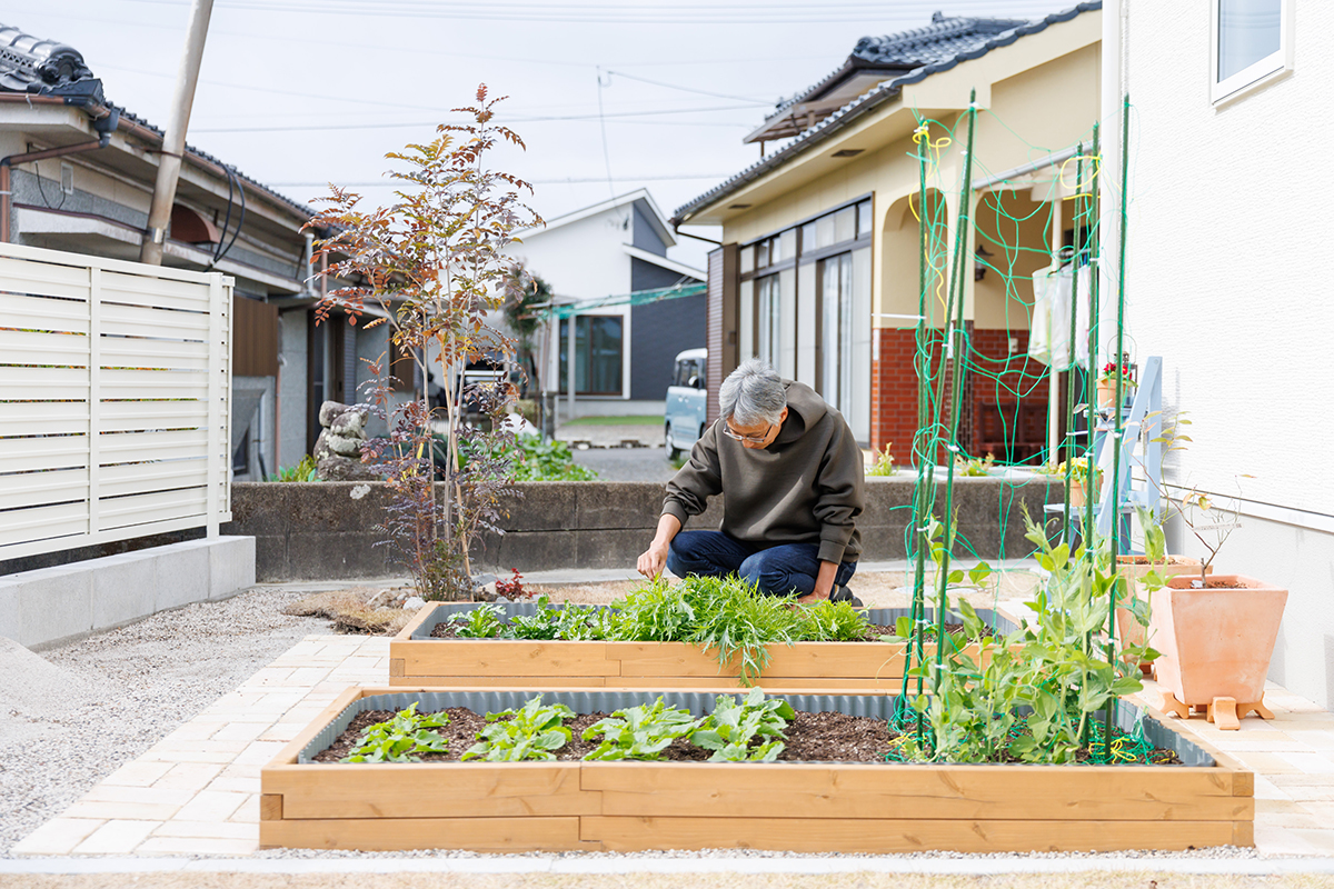 家庭菜園